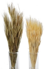 02  Suvo cveće za dekoraciju